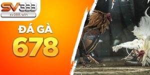 da ga 678 1