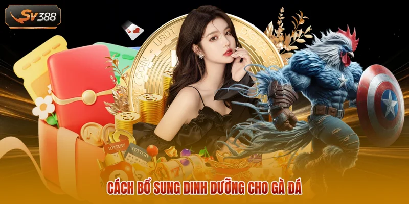 Cách bổ sung dinh dưỡng cho gà đá