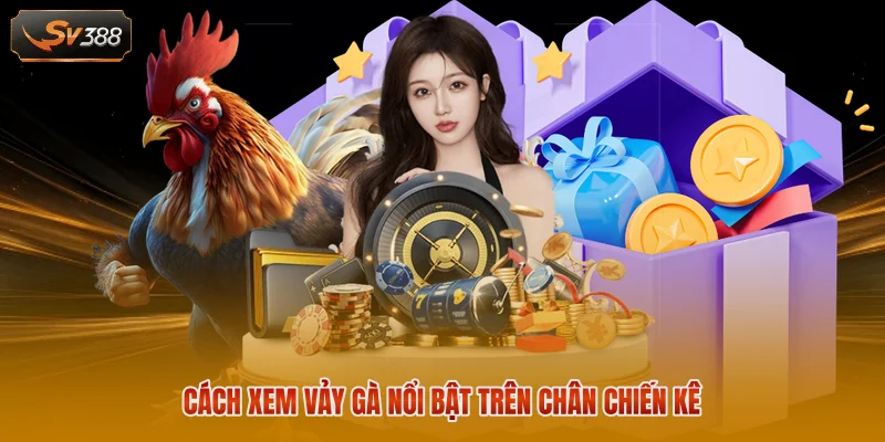 Cách xem vảy gà nổi bật trên chân chiến kê 