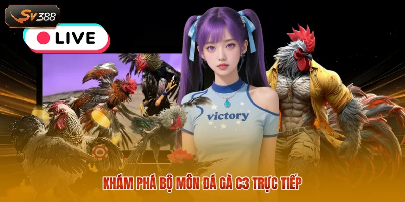 Khám phá bộ môn đá gà C3 trực tiếp 