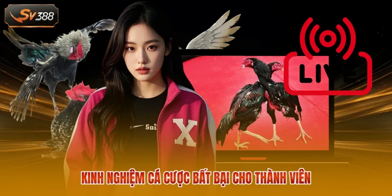 Kinh nghiệm cá cược bất bại cho thành viên