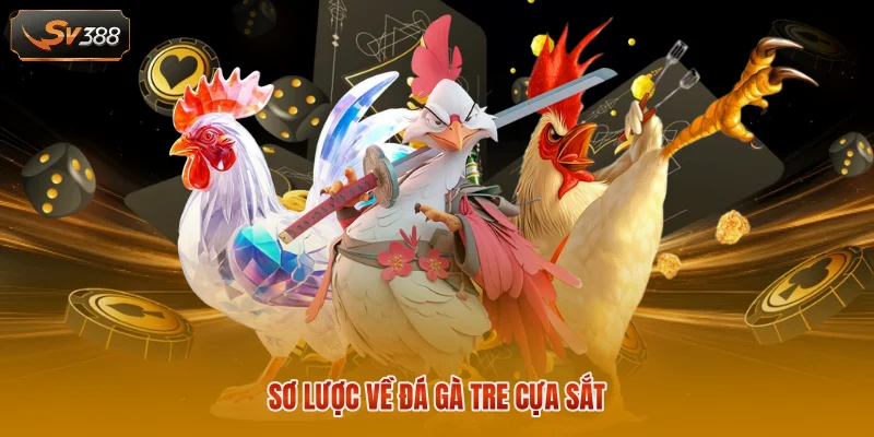Sơ lược về đá gà tre cựa sắt 